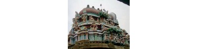 243. திருமாகறல்